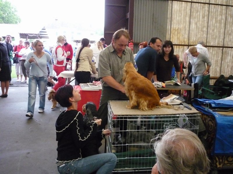 narodka boleslav 061.jpg